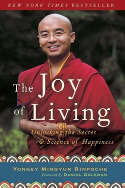 Rinpoche Yongey Mingyur: The Joy of Living