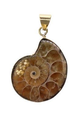 Ammoniittifossiili riipus